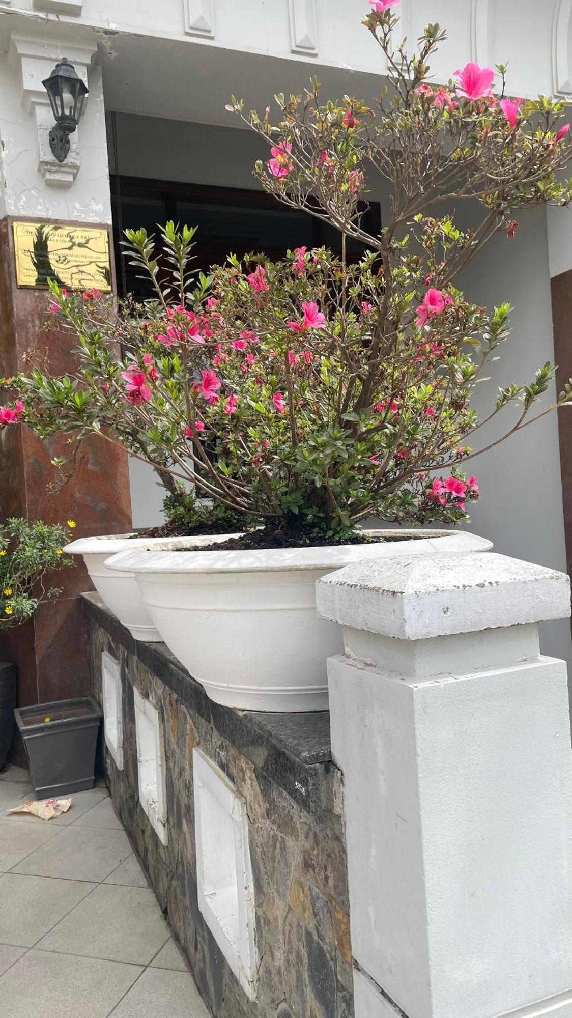 Duy Thao 2 Hotel ダラット エクステリア 写真