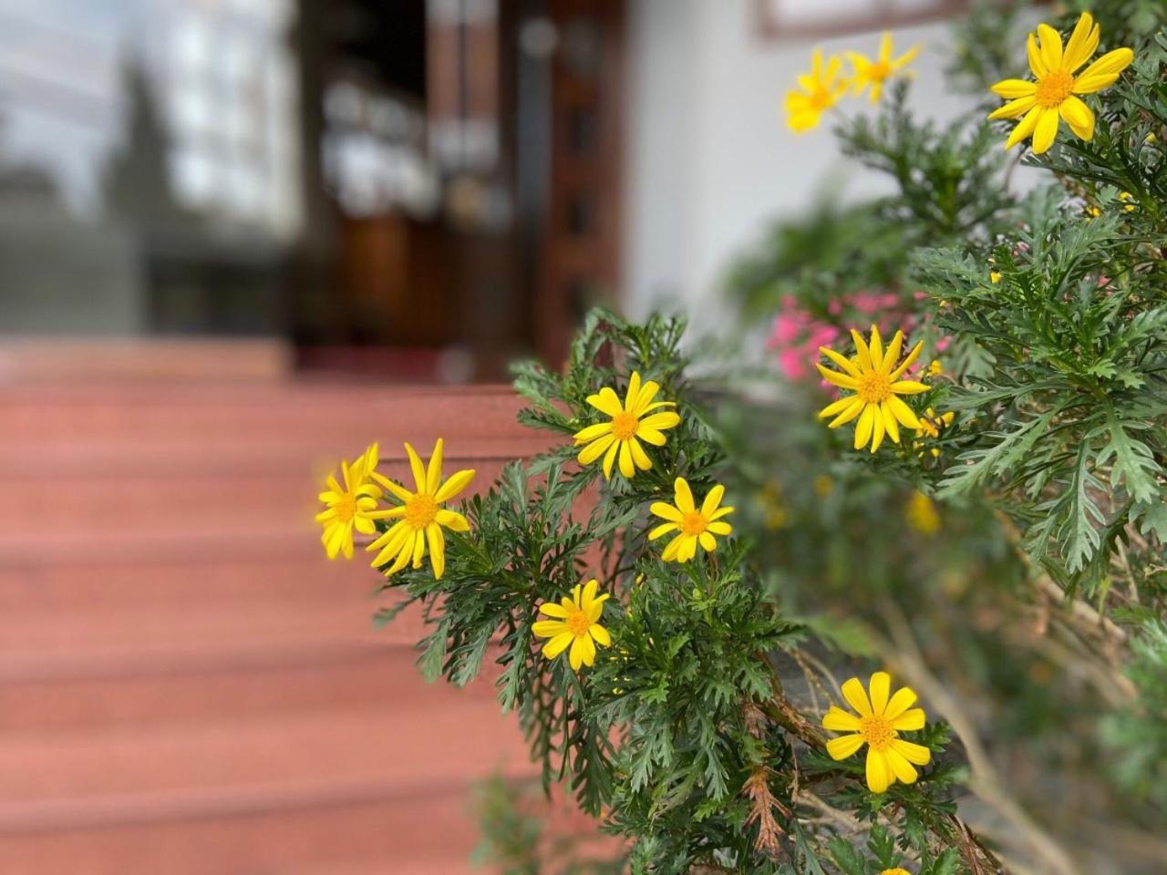 Duy Thao 2 Hotel ダラット エクステリア 写真